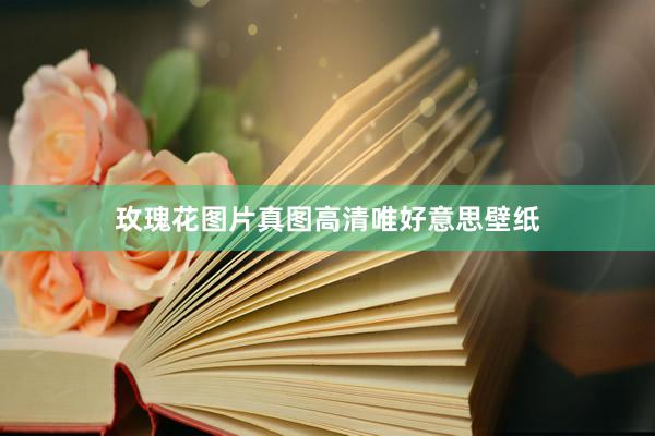 玫瑰花图片真图高清唯好意思壁纸