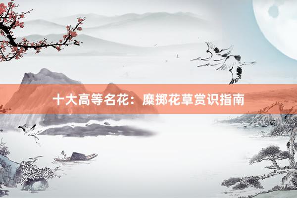 十大高等名花：糜掷花草赏识指南