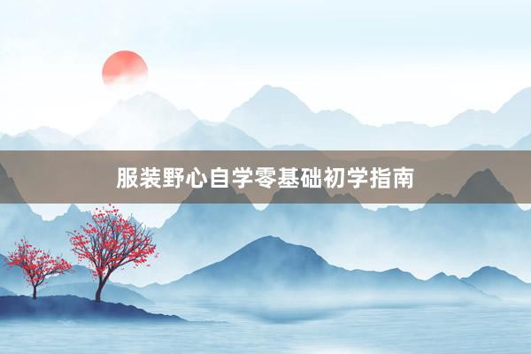 服装野心自学零基础初学指南