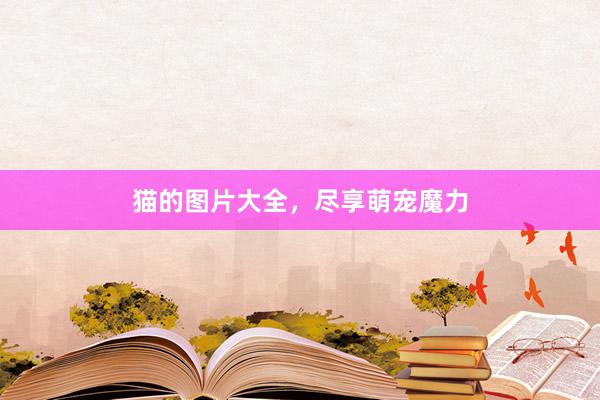 猫的图片大全，尽享萌宠魔力