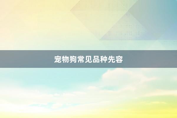 宠物狗常见品种先容