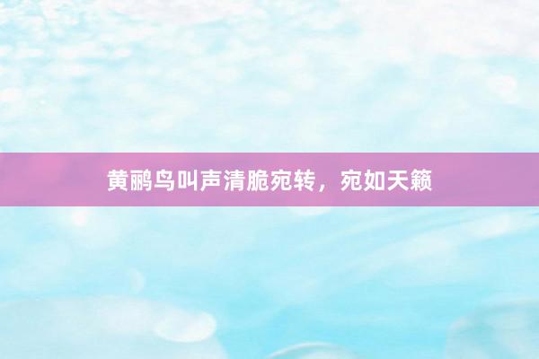 黄鹂鸟叫声清脆宛转，宛如天籁