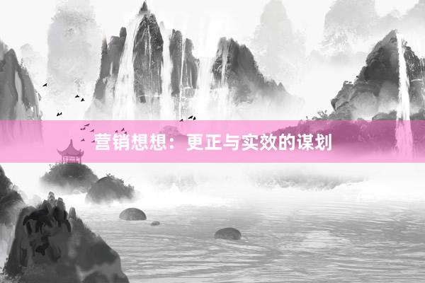 营销想想：更正与实效的谋划